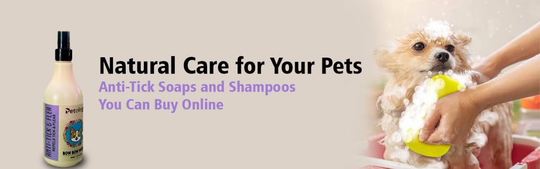 Buy Pet Paw Cleaner Online