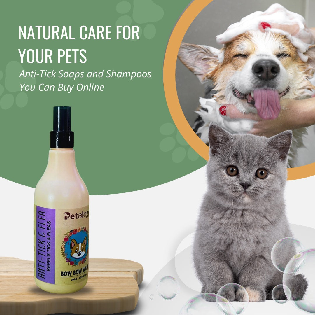 Buy Pet Paw Cleaner Online