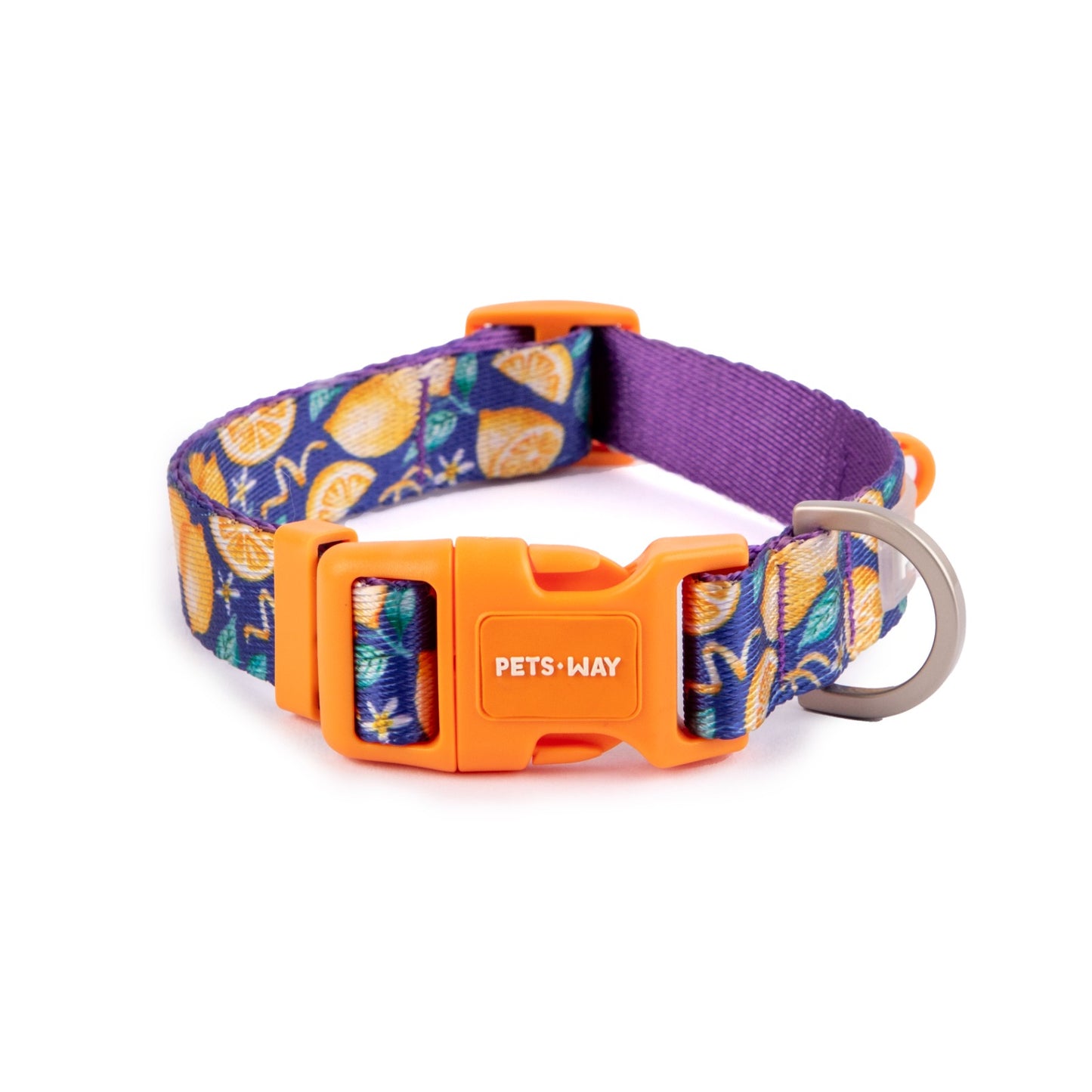 Pet Dog Printed Collar Polyester Webbing - InuMeow.