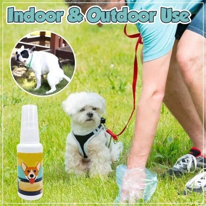 Natural Potty Training Spray for Dog & Cat (Pack of 2) 30ml - InuMeow