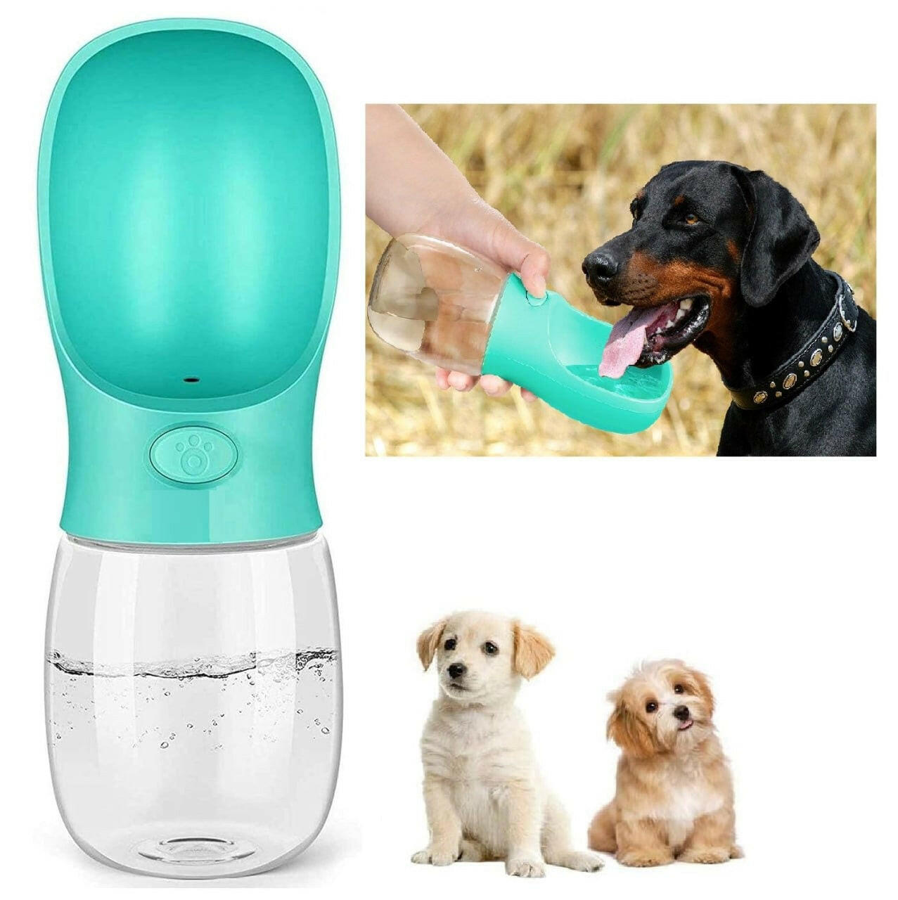 Leak Proof Portable Dog Water Bottle - InuMeow.