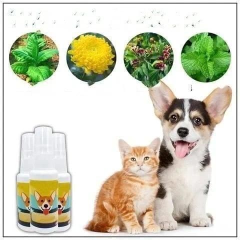 Natural Potty Training Spray for Dog & Cat (Pack of 2) 30ml - InuMeow