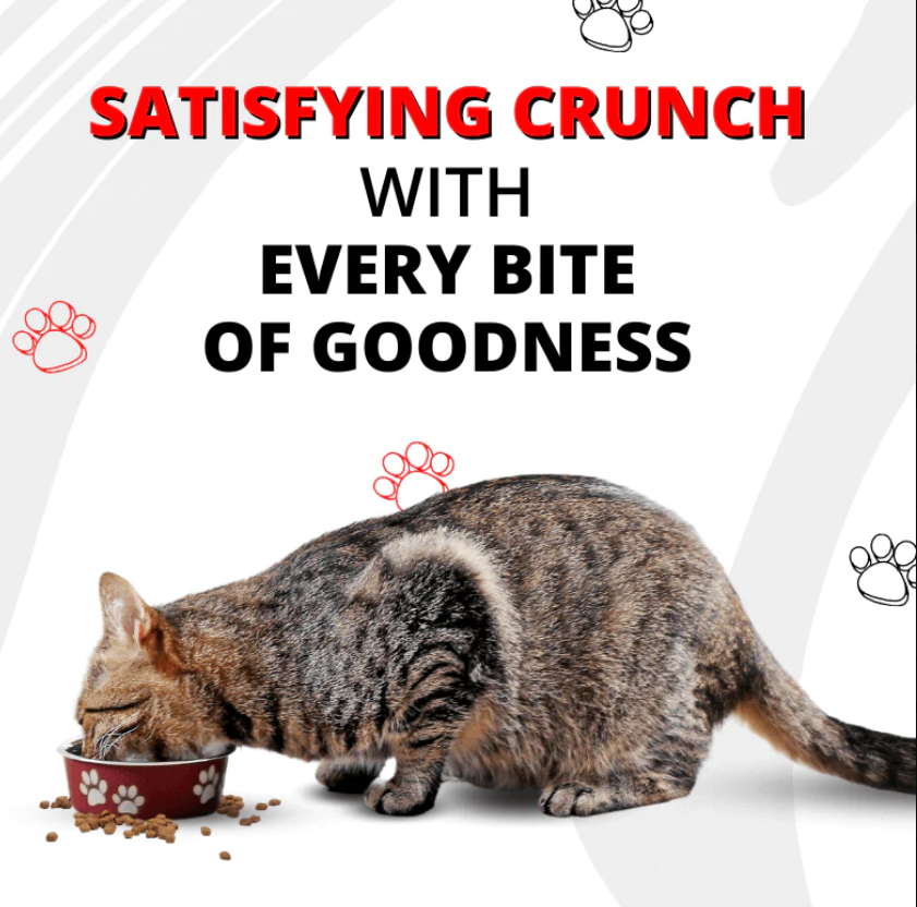 Pet Cat Baked Dry Food- InuMeow