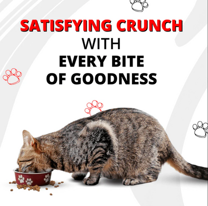 Artisanally Baked Pet Cat Dry Food - InuMeow