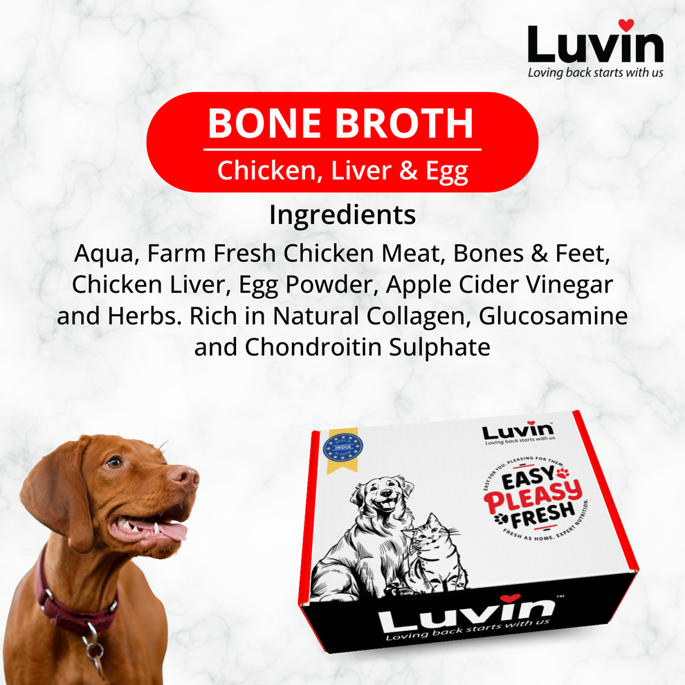 Chicken Bone Broth Wet Food for Dogs & Cats (480ml. Pack of 6x80gm) - InuMeow