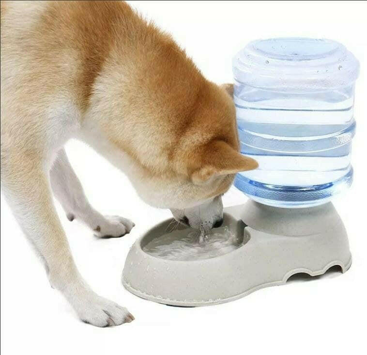 Self-Dispensing Gravity Pet Water Drinking Dispenser Feeder - InuMeow.