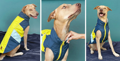 Pet Dog Jackets - InuMeow.