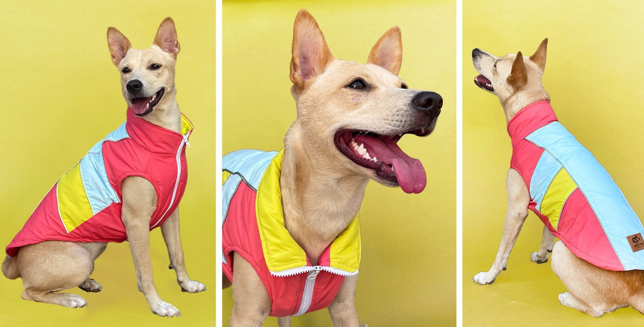 Pet Dog Jackets - InuMeow.