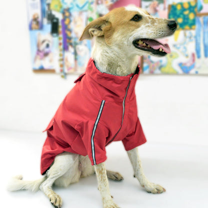 Best Quality Rain Coats for Dogs - InuMeow.