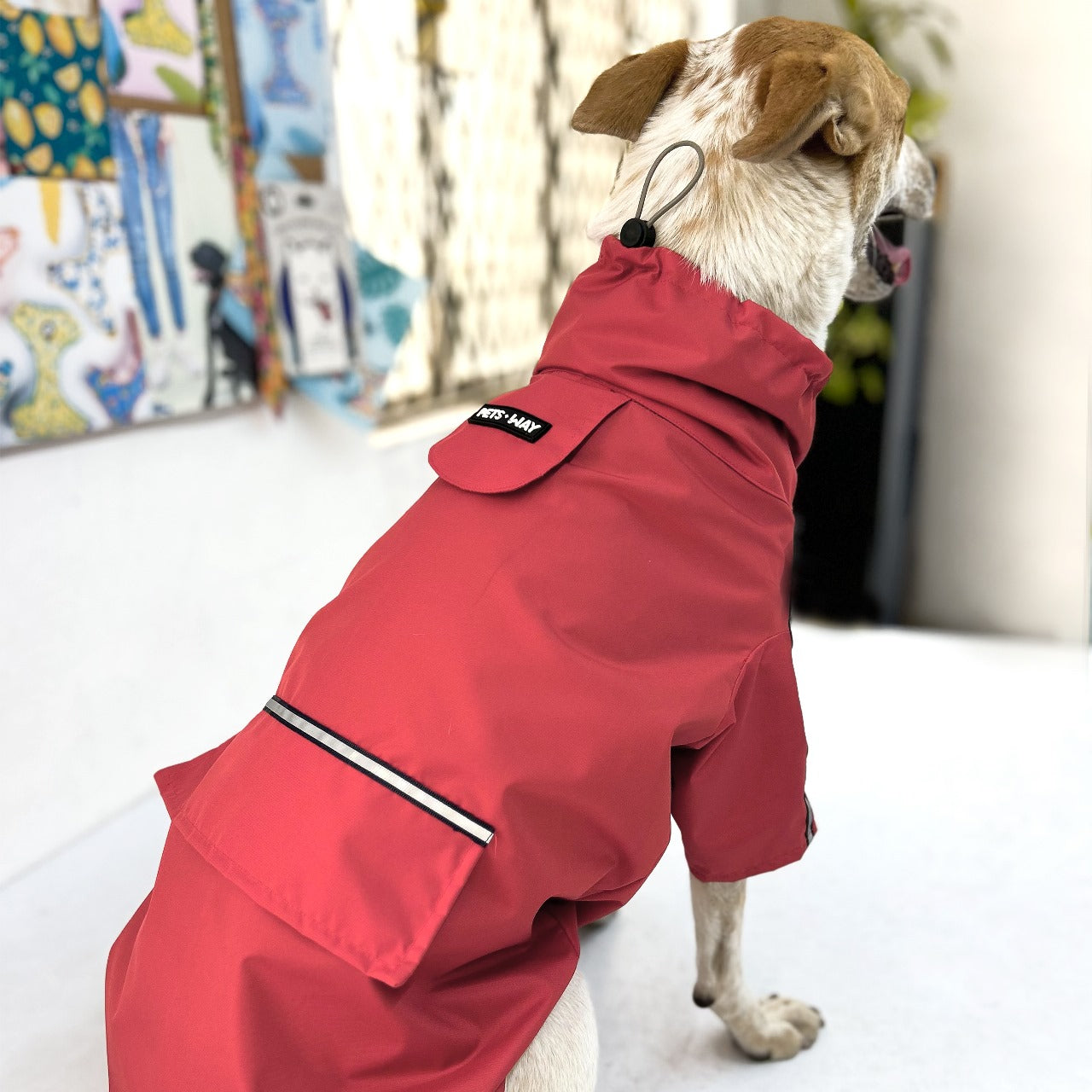 Best Quality Rain Coats for Dogs - InuMeow.