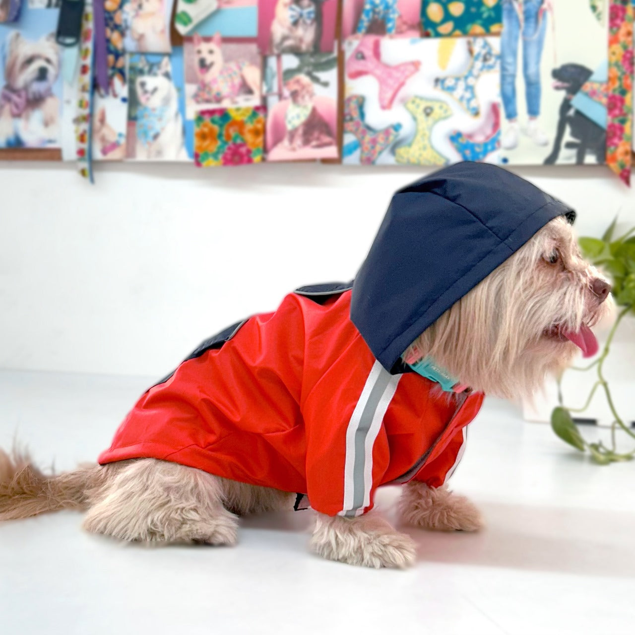 Best Quality Rain Coats with Hoodie for Dogs - InuMeow.