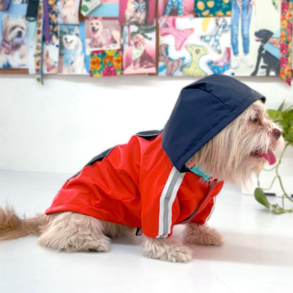 Best Quality Rain Coats with Hoodie for Dogs - InuMeow.