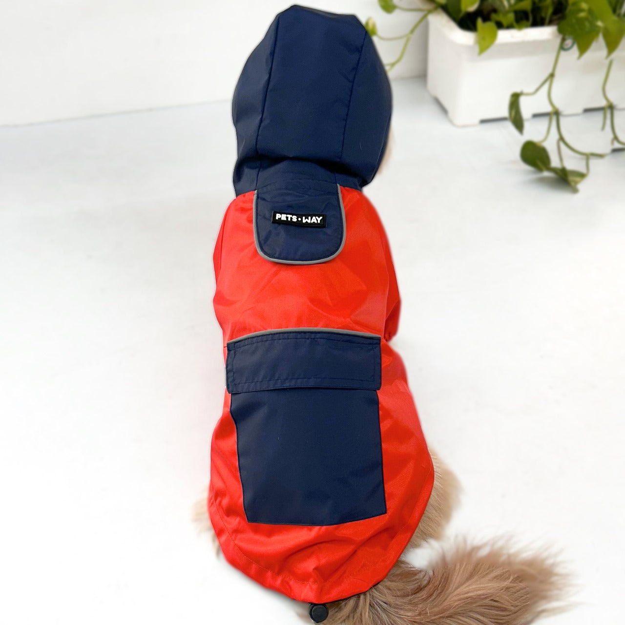 Best Quality Rain Coats with Hoodie for Dogs - InuMeow.