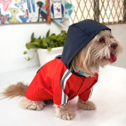 Best Quality Rain Coats with Hoodie for Dogs - InuMeow.