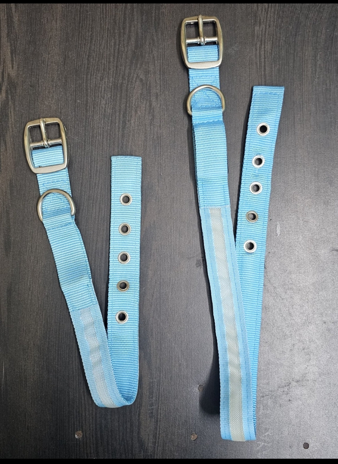 Pet Dog Strong Nylon Collars - InuMeow.