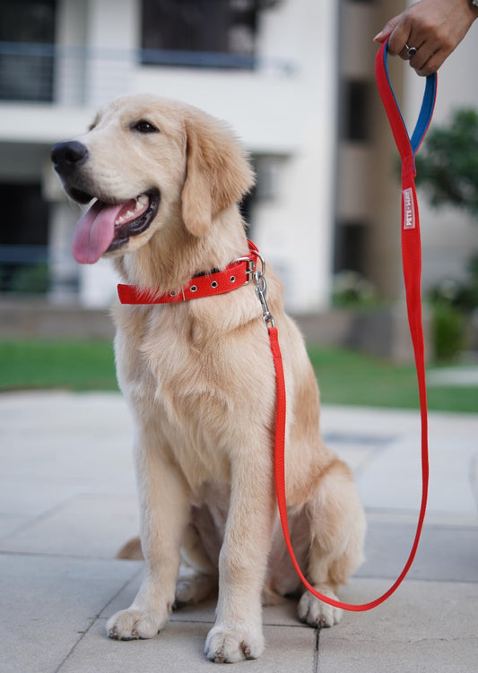 Pet Dog Solid Color Leash Belt Polyester Webbing - InuMeow.