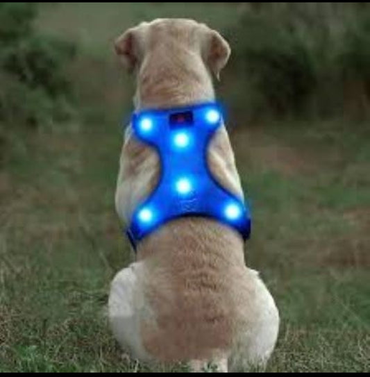 Pet Dog Glowing LED Solid Nylon Harness - InuMeow.