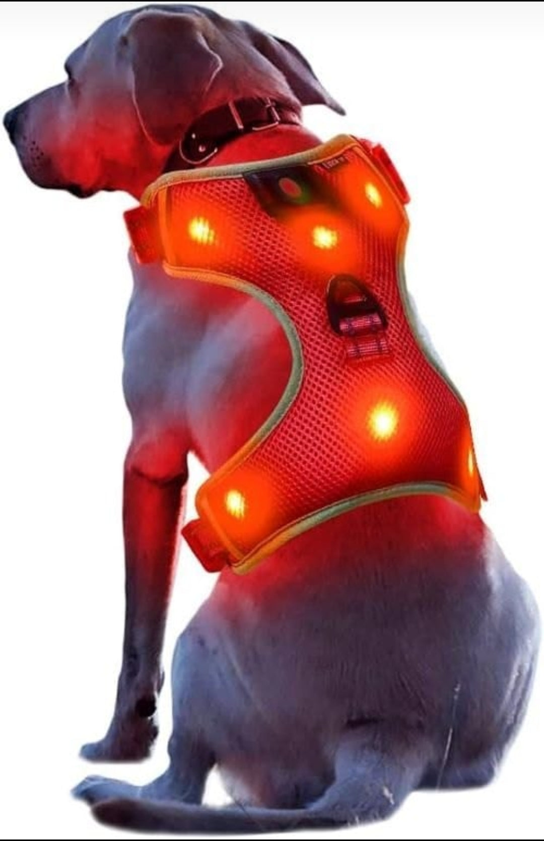 Pet Dog Glowing LED Solid Nylon Harness - InuMeow.