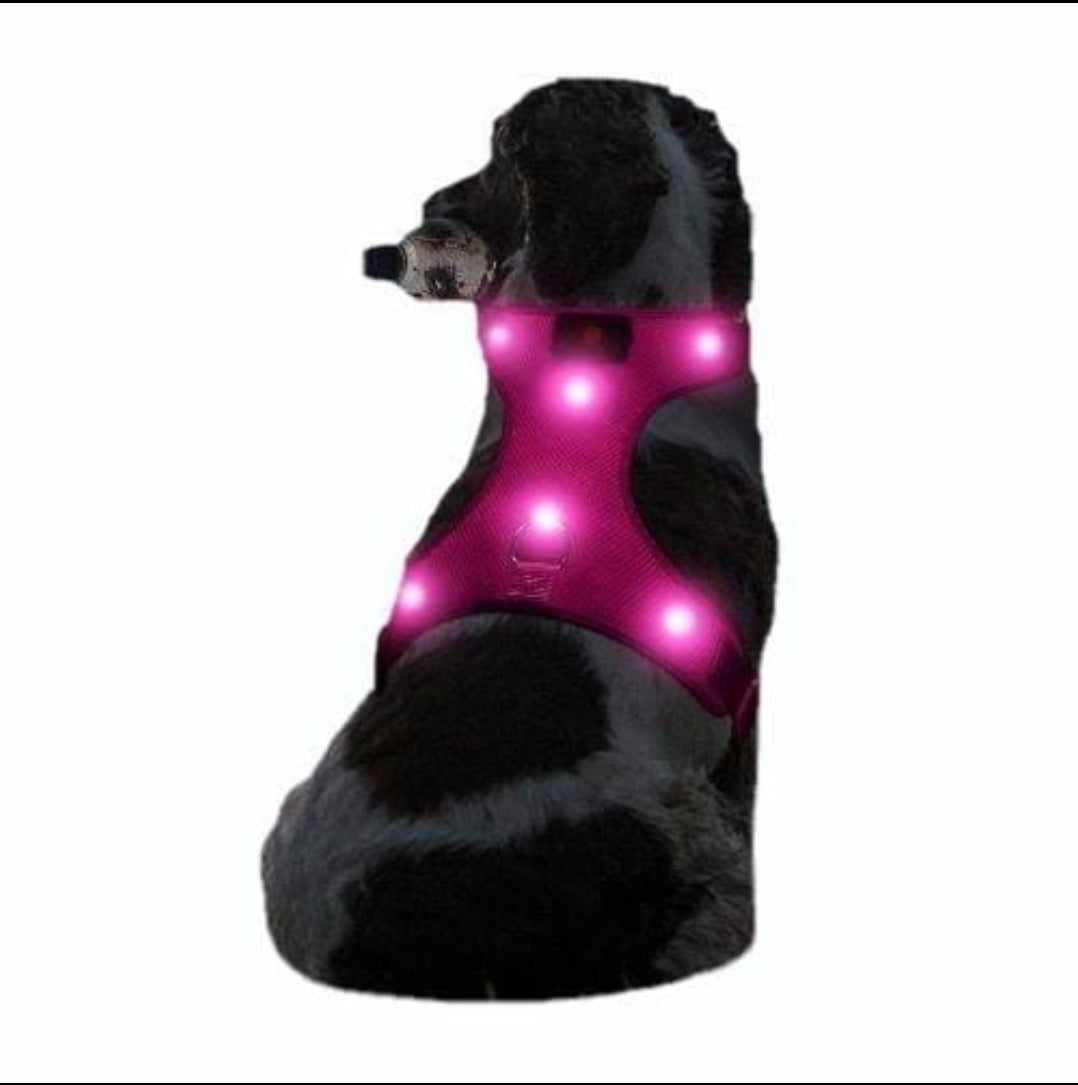 Pet Dog Glowing LED Solid Nylon Harness - InuMeow.