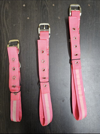 Pet Dog Strong Nylon Collars - InuMeow.