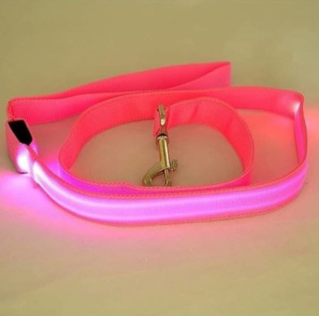 Pet Dog Glowing LED Strong Nylon Leashes 1.2m length - InuMeow.