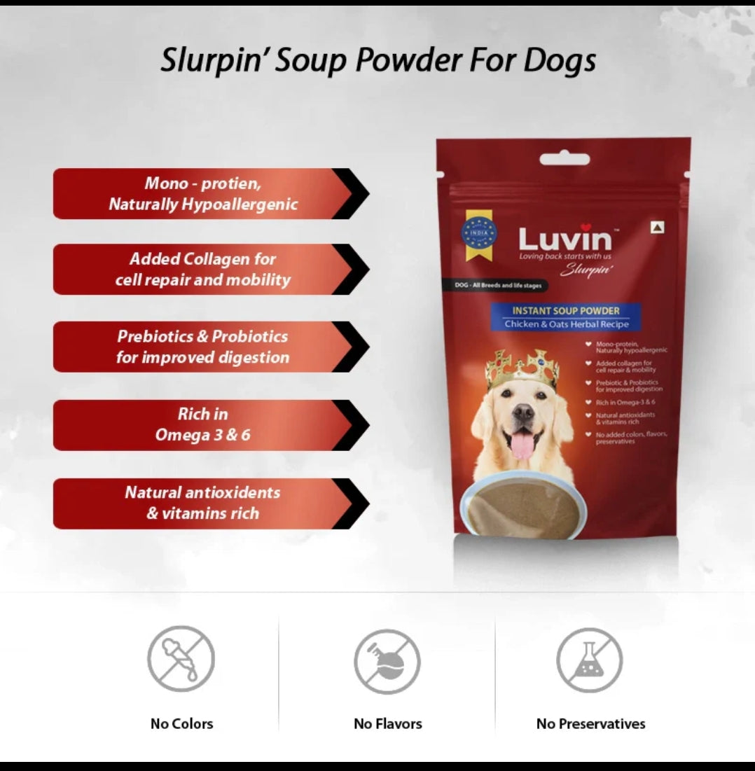 Instant Chicken Flavour Soup Powder for Dogs (240gm Pack of 2x120gm) - InuMeow