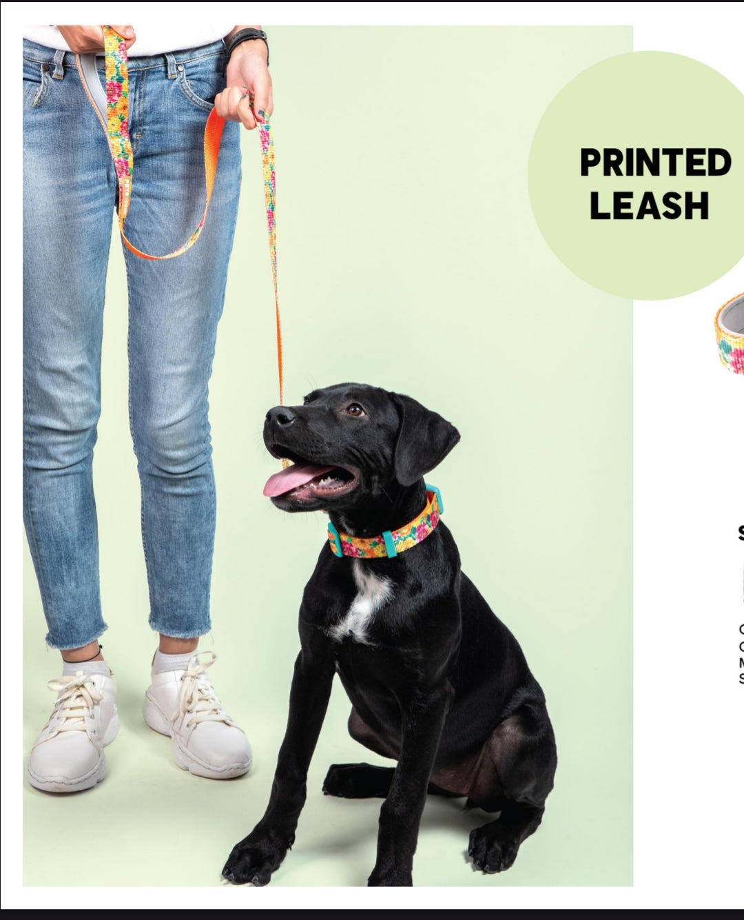 Pet Dog Printed Leash Belt Polyester Webbing.