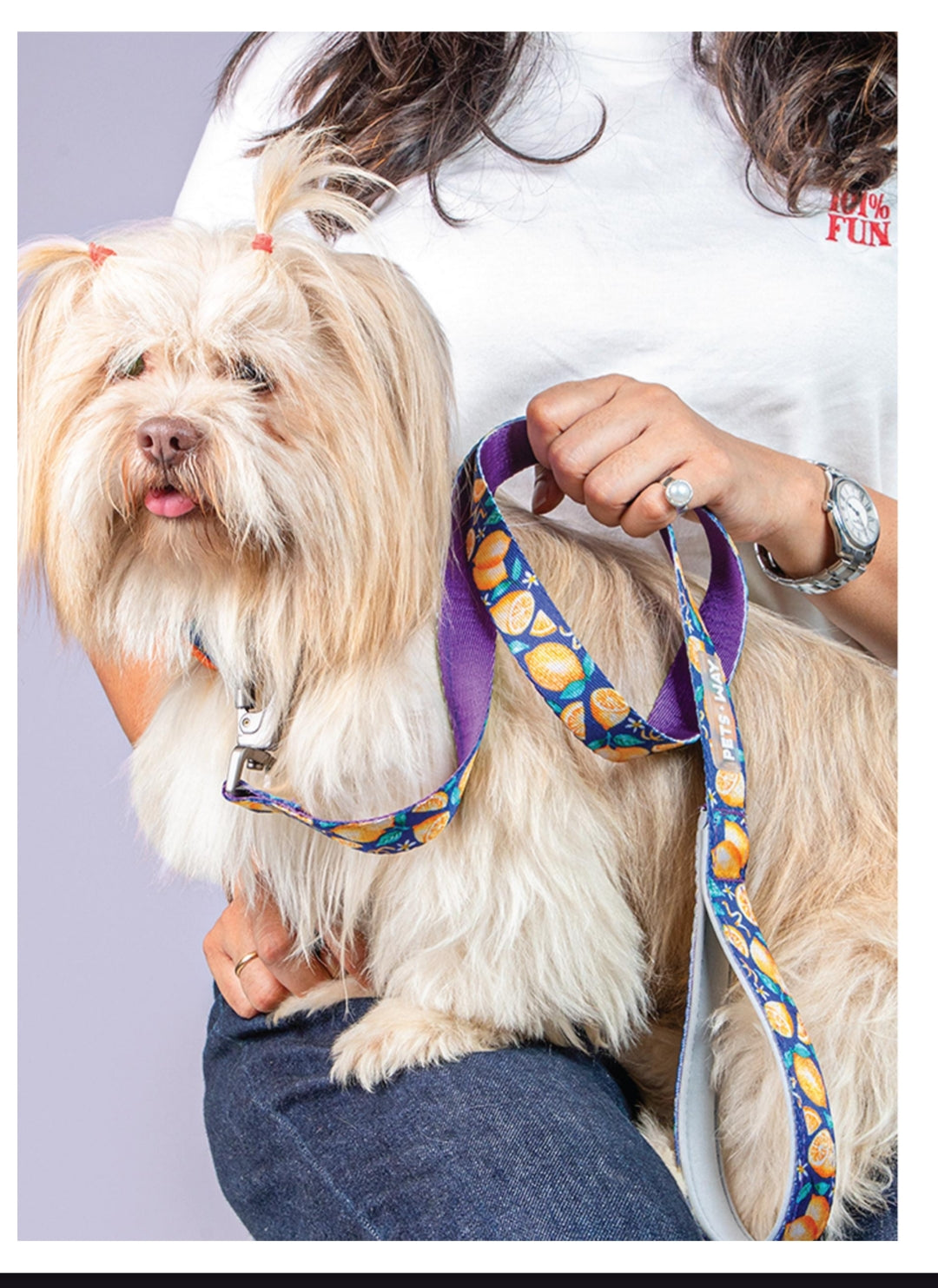 Pet Dog Printed Leash Belt Polyester Webbing.