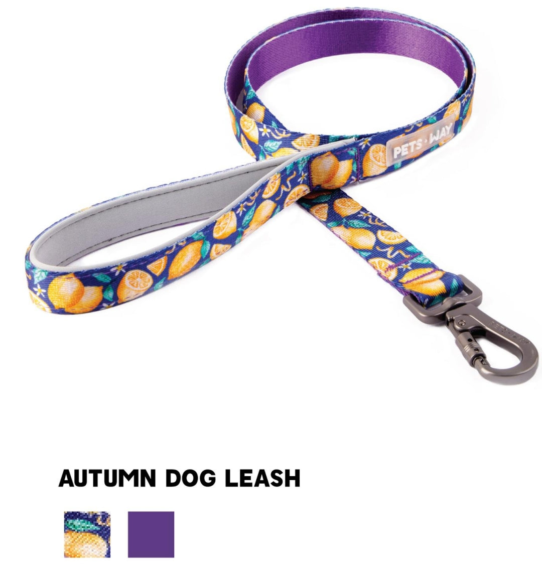 Pet Dog Printed Leash Belt Polyester Webbing.