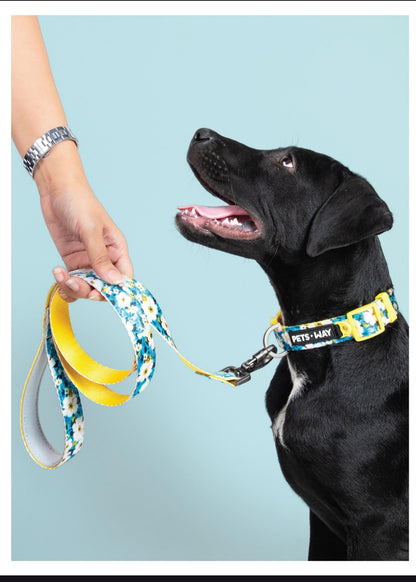 Pet Dog Printed Leash Belt Polyester Webbing.