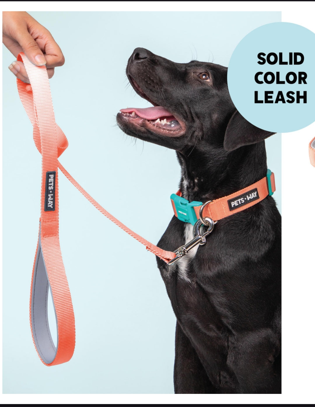 Pet Dog Solid Color Leash Belt Polyester Webbing.