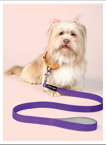 Pet Dog Solid Color Leash Belt Polyester Webbing.