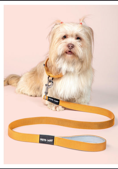 Pet Dog Solid Color Leash Belt Polyester Webbing.