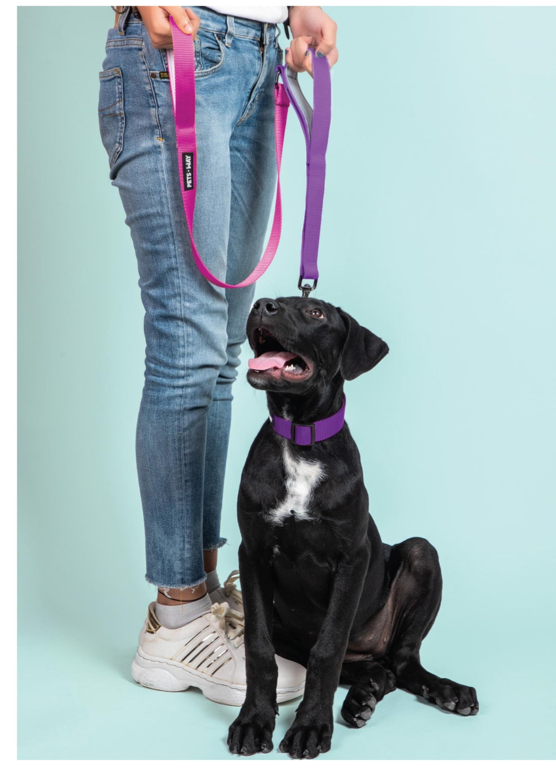 Pet Dog Dual Handle Solid Dual Color Leash Belt Polyester Webbing.