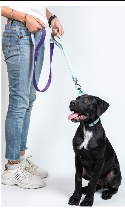 Pet Dog Dual Handle Solid Dual Color Leash Belt Polyester Webbing.