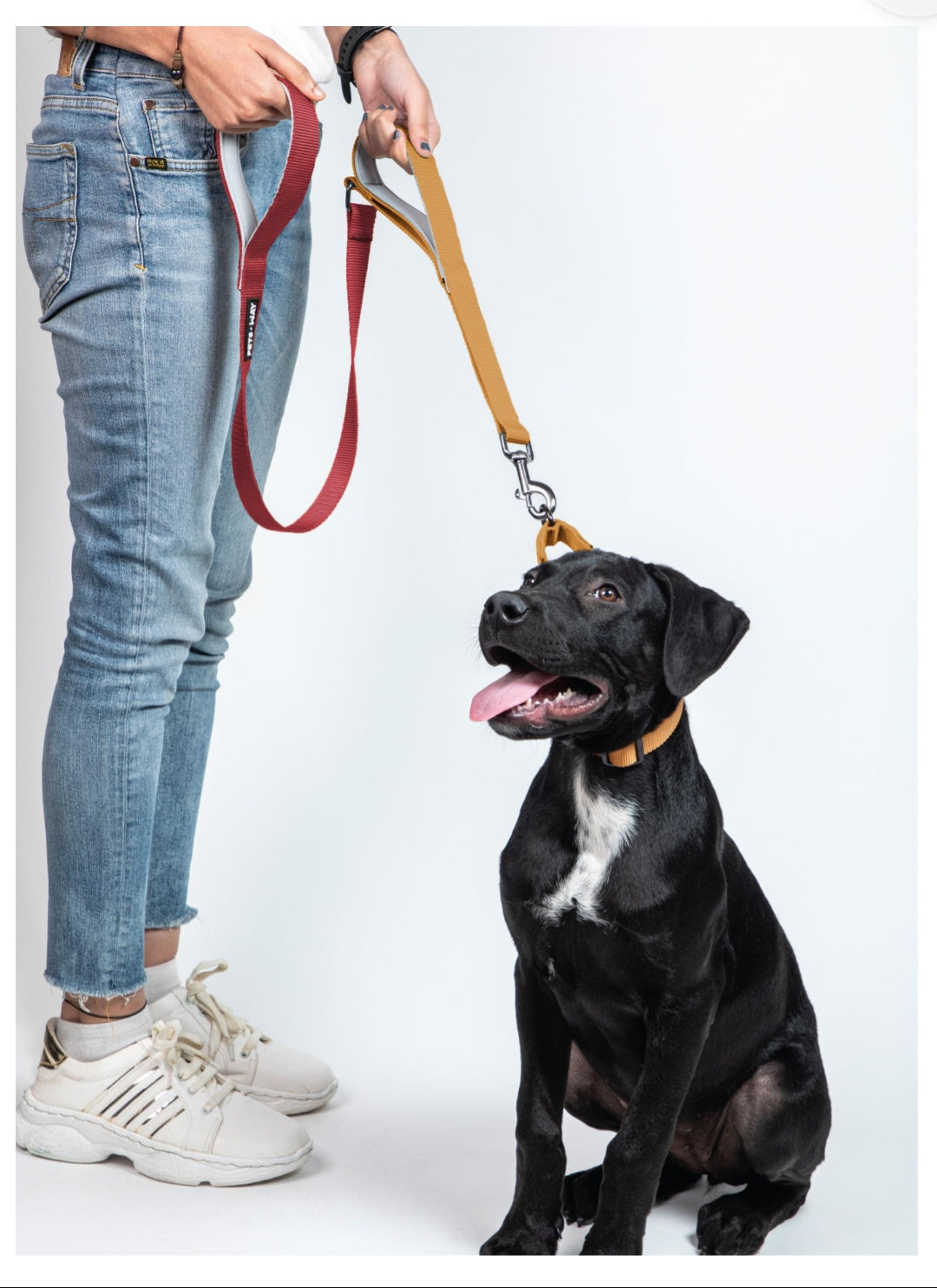 Pet Dog Dual Handle Solid Dual Color Leash Belt Polyester Webbing.