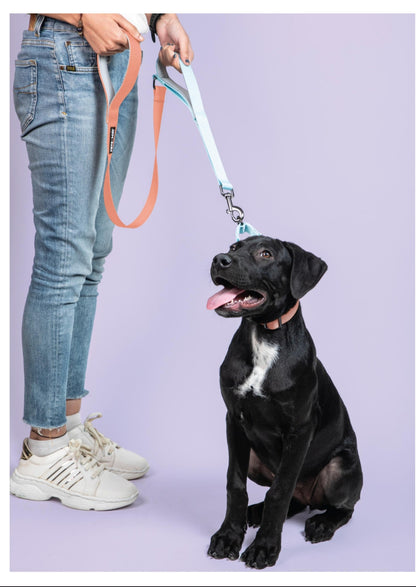 Pet Dog Dual Handle Solid Dual Color Leash Belt Polyester Webbing.