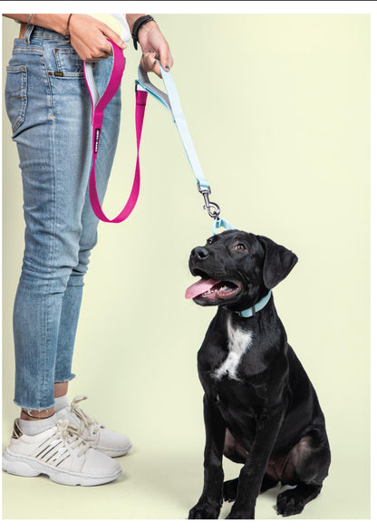 Pet Dog Dual Handle Solid Dual Color Leash Belt Polyester Webbing.