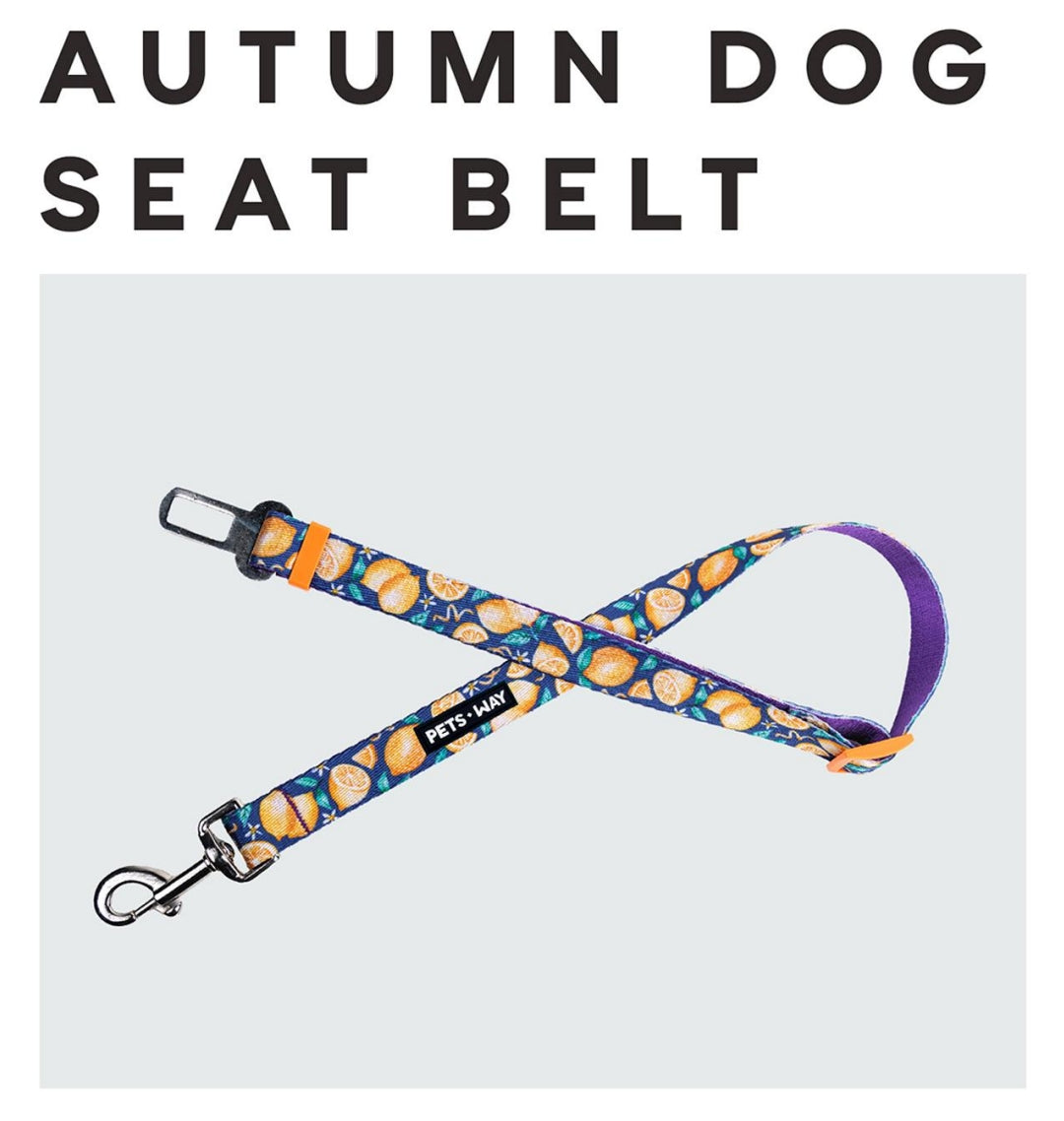 Pet Dog Printed Color Seat Belt Polyester Webbing.