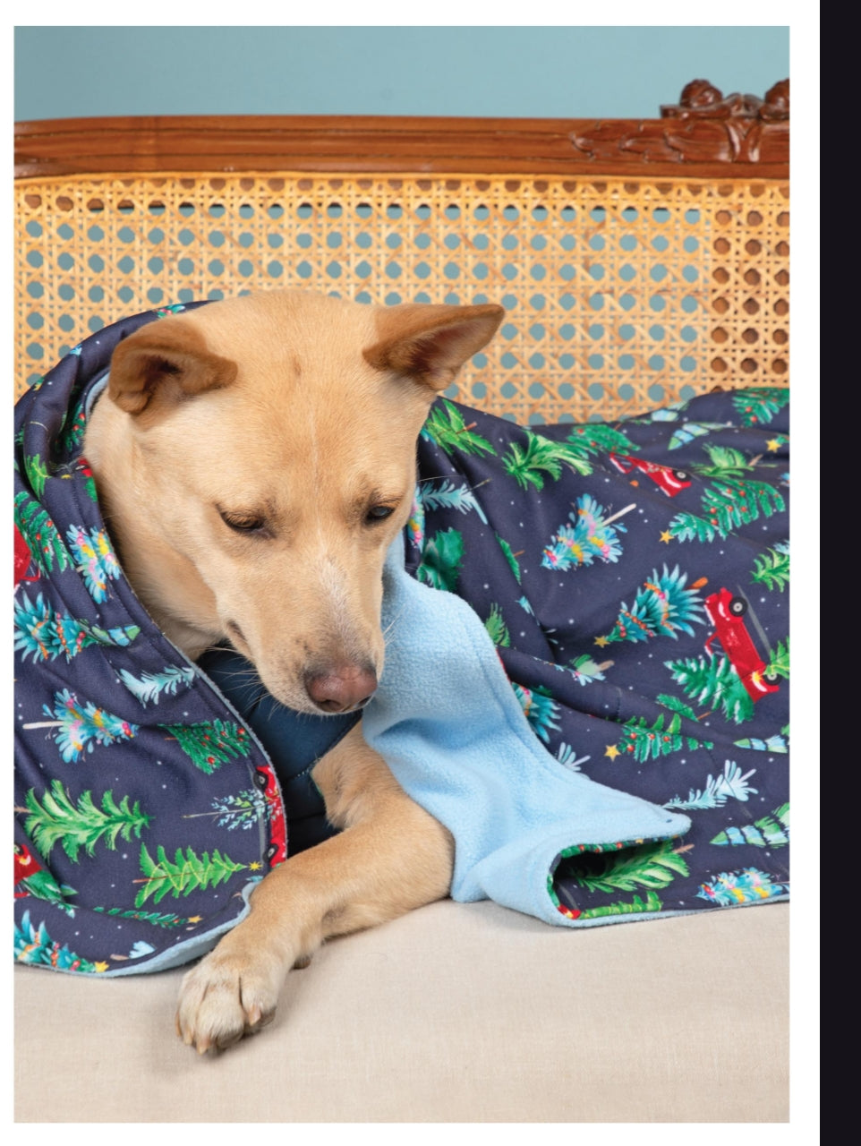 Pet Dog Cotton Printed Stylish Warm Winter Blanket.