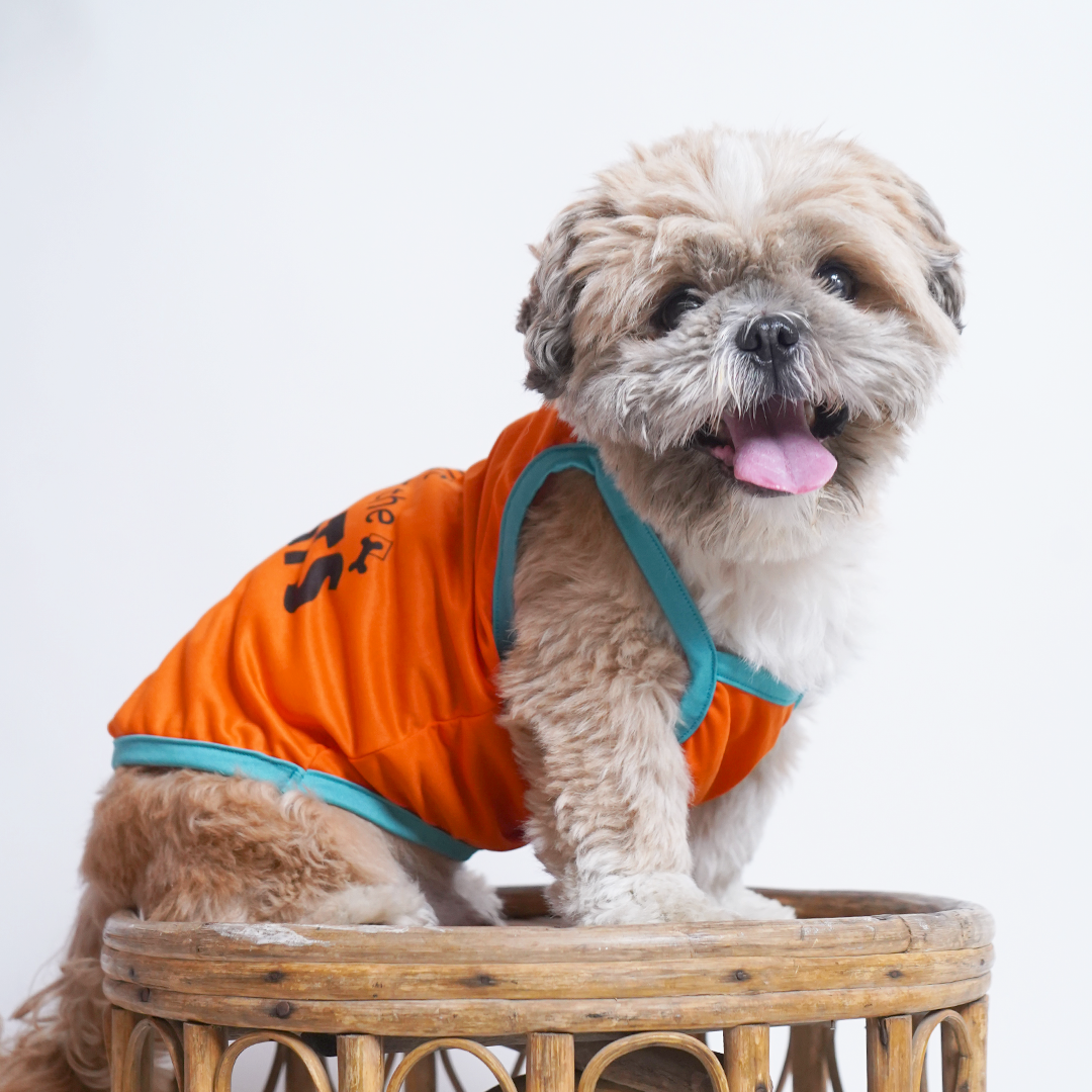 Pet Dog Stylish Cotton Vests - InuMeow